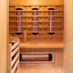 Vidalux 3-Person Infrared and Traditional Sauna