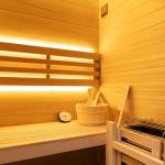 Vidalux Klassikko 1 Person Traditional Sauna