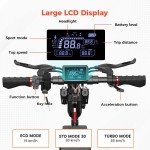 800W Off-Road Electric Scooter for Adults 45KM/H