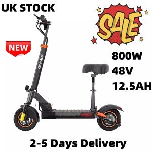 iENYRID 800W 10" Foldable Off-Road Electric Scooter