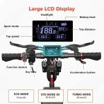 800W Off-Road Electric Scooter for Adults 45KM/H