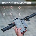 Folding Electric Scooter with Double Shock Absorbers