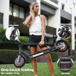 500W Electric Scooter with Cruise Control and Range