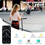 500W Electric Scooter with Cruise Control and Range