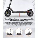 250W Electric Scooter for Adults with Off-Road Tires