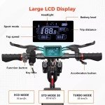 800W Off-Road Electric Scooter for Adults