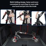iScooter iX6 1000W Foldable Off-Road Electric Scooter