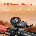 MX-14 800W Off-Road Folding Electric Scooter