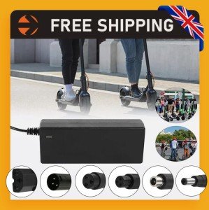 42V Electric Scooter Charger for Lithium Batteries