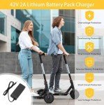 42V Electric Scooter Charger for Lithium Batteries