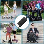 42V Electric Scooter Charger for Lithium Batteries
