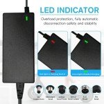 42V Electric Scooter Charger for Lithium Batteries