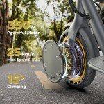 Riceel R50 Electric Scooter, Speed up to 25 km/h, 30 km of autonomy, 8.5" Solid Tire, Maximum Load 120 kg, Dual Braking