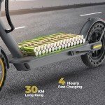Riceel R50 Electric Scooter, Speed up to 25 km/h, 30 km of autonomy, 8.5" Solid Tire, Maximum Load 120 kg, Dual Braking