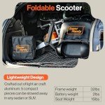 SuperHandy Foldable Electric Scooter with Dual Batteries