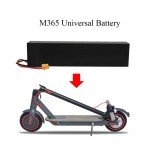 Aovo Pro M365 Electric Scooter 36V Battery
