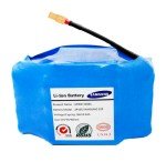 36V 4400Ah Swegway Samsung Hoverboard Battery