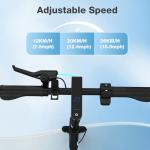 RCB R17 Electric Scooter - 25 km/h, 350W Motor