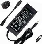 42V Smart Charger for 36V Scooter Battery