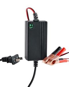 12V Smart Battery Charger for Vehicles and Toys