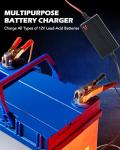 12V Smart Battery Charger for Vehicles and Toys