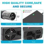 24V 5A Battery Charger for Electric Scooters