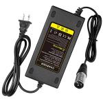 24V 5A Battery Charger for Electric Scooters