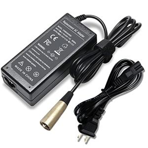 24V 2A Scooter Battery Charger for Multiple Models