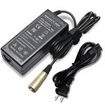 24V 2A Scooter Battery Charger for Multiple Models