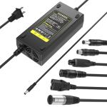 Universal 48V Fast Charger for Electric Scooters