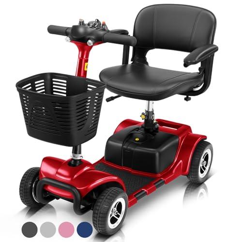 Electric Mobility Aids