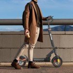 iENYRID Adult Electric Scooter 48V 12.5Ah Battery Long range 40km Max speed 25km/h maximum load 150kg 10" off-road tires