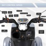 800W Four-Wheel Electric Scooter for Adults