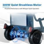 Foldable 4-Wheel Mobility Scooter for Adults