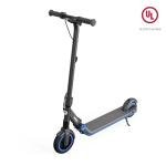 Segway Ninebot ZING E10 Electric Kick Scooter