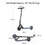 Segway Ninebot ZING E10 Electric Kick Scooter