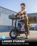 URBANMAX Electric Scooter with Seat and Storage