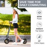 48V 800W Electric Scooter with Off-Road Fat Tires