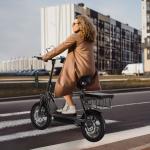 LADPED LPBS Foldable Electric Scooter with Seat