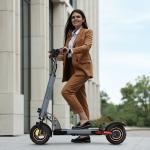 48V 800W Electric Scooter with Off-Road Fat Tires