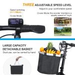 300W 3-Wheel Electric Mobility Scooter for Adults