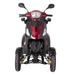 800W Electric Four-Wheeler Mobility Scooter