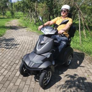 1000W HeCare Ranger 4-Wheel Electric Scooter