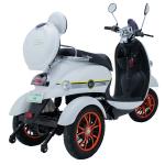 60V 20AH 500W Electric Mobility Scooter