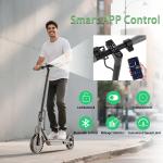 Ladped LP60 Electric Scooter - 350W Commuter Ride