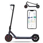 LADPED 30KM Long Range 350W Folding Electric Scooter