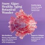 Rejuvenating Bakuchiol Serum with Stem Cells