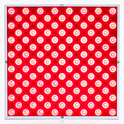 Full Body Red Light Panels