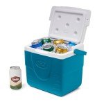 Coleman Chiller Series 9 qt Insulated Cooler Lunch Box, Portable Hard Cooler with Ice Retention & Heavy-Duty Handle, Great for Camping, Tailgating, Beach, Picnic, Groceries, Lunch, & More