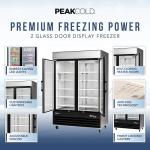 Peak Cold Double Door Upright Commercial Display Freezer - Large Capacity Glass Door Merchandiser Freezer; 45 CU Ft.